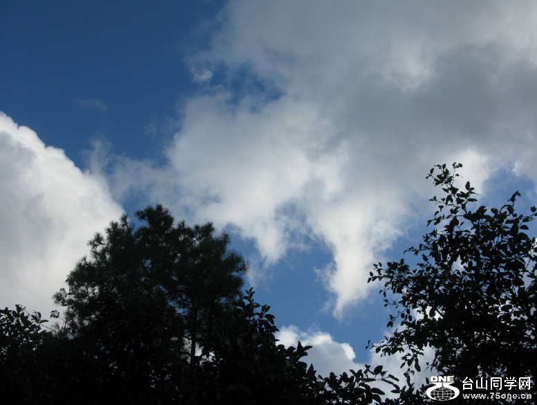 125.jpg