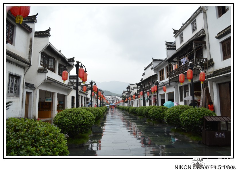 8日旅 660_conew1.jpg