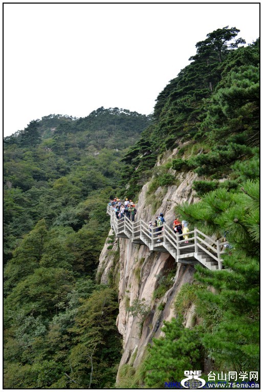 8日旅 207_conew1.jpg