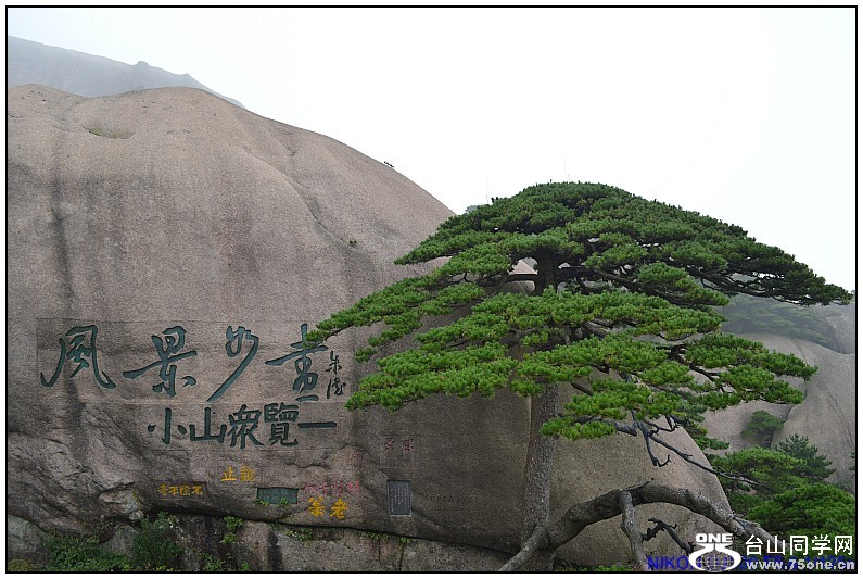 8日旅 540_conew1.jpg