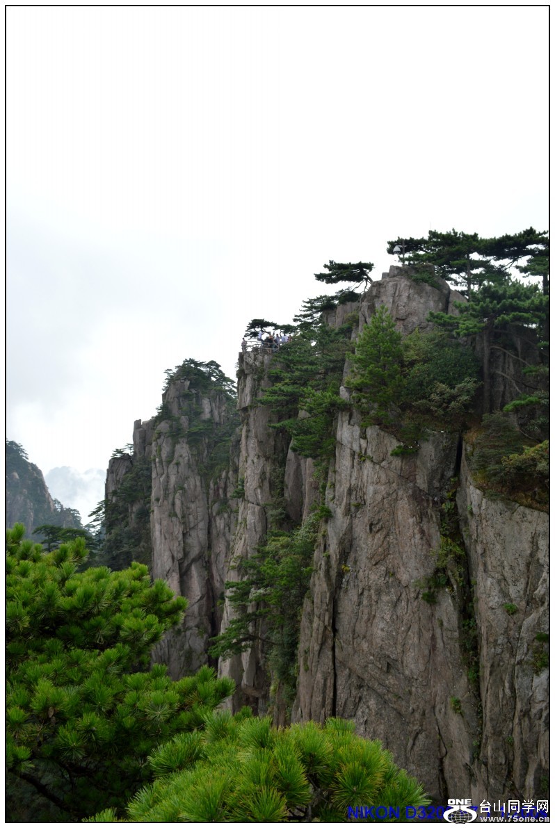 8日旅 252_conew1.jpg