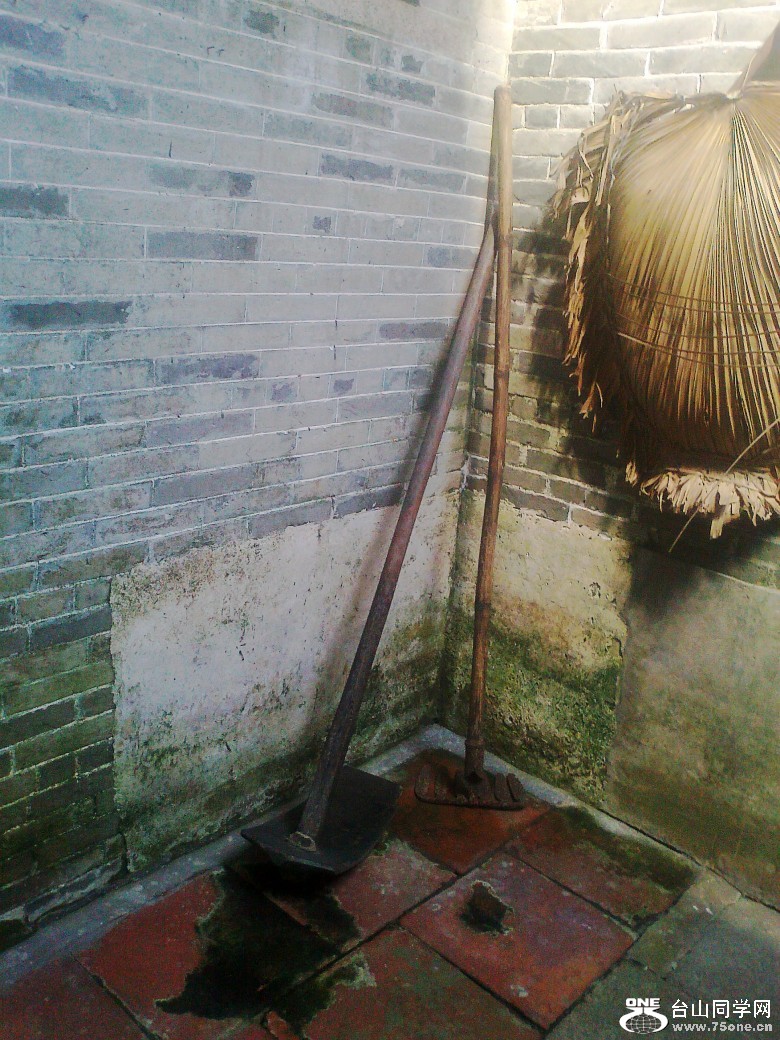 Ƭ0234_conew1.jpg
