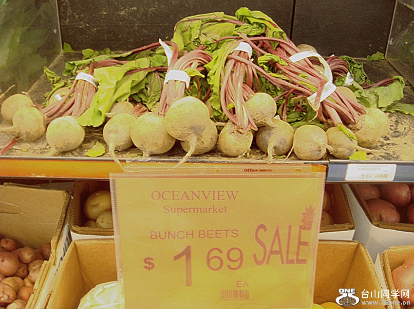 DSC03875_.jpg