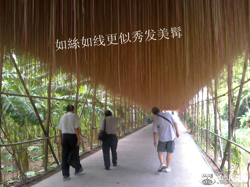2012-08-30_10-54-21_772_.jpg