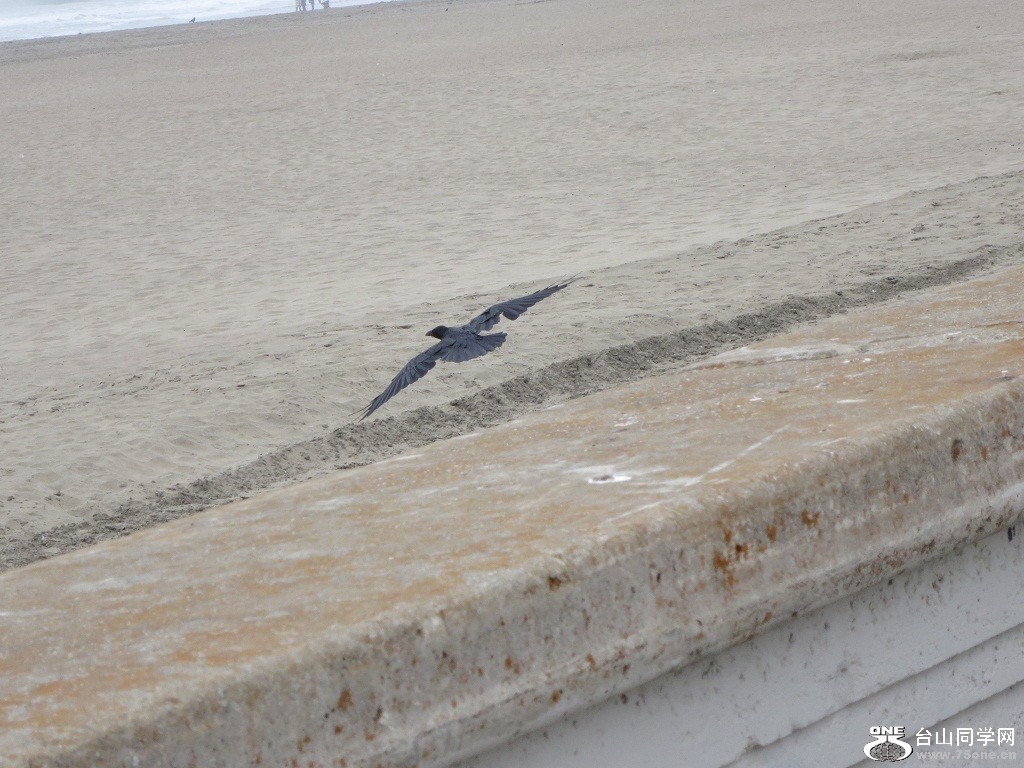 IMG_0318.JPG