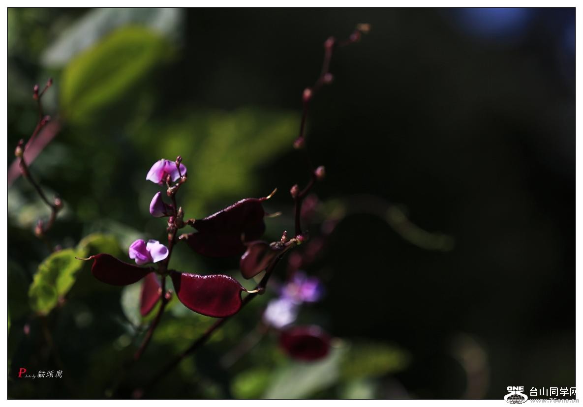 }u -·ֵձ@ 045-1.jpg