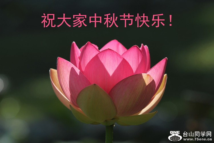 IMG_4563_-23-3副本.jpg