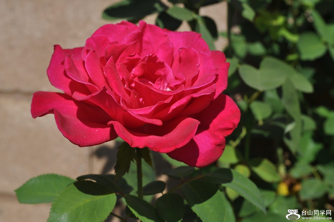 DSC_0016.JPG