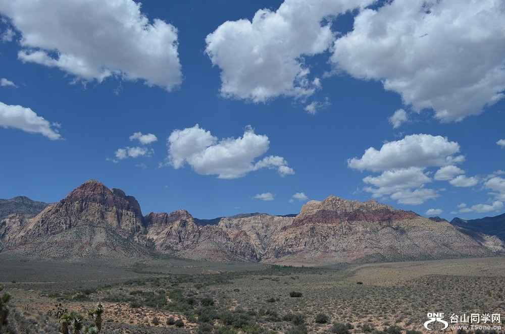 n259.jpg