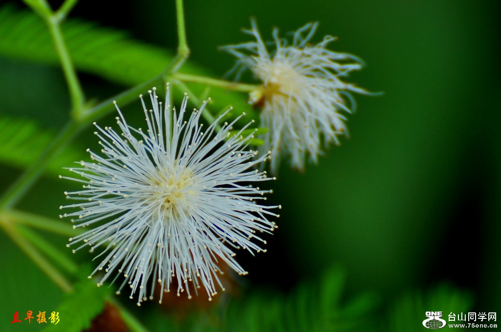 DSC_2669.JPG
