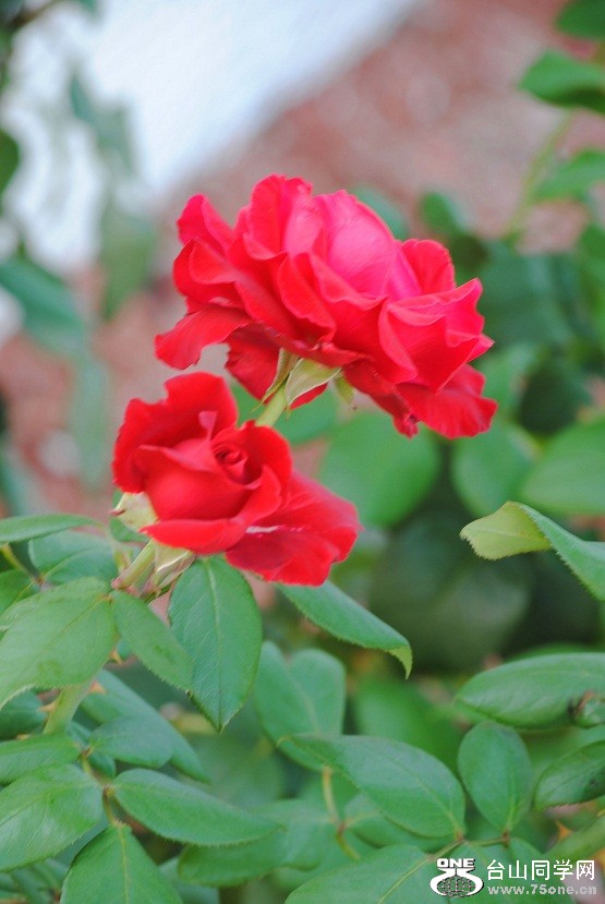 DSC_5720.jpg