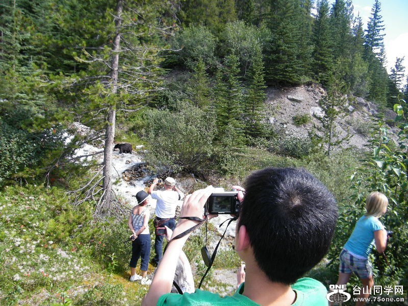 90_3812_24600f0fed7426c.jpg