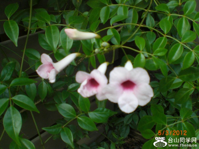 2012_07170508.JPG