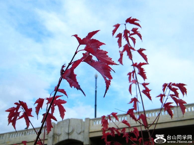 DSCF9156=.jpg