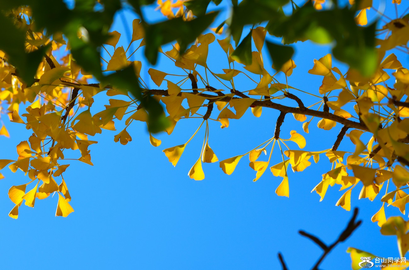 DSC_0589_40.jpg