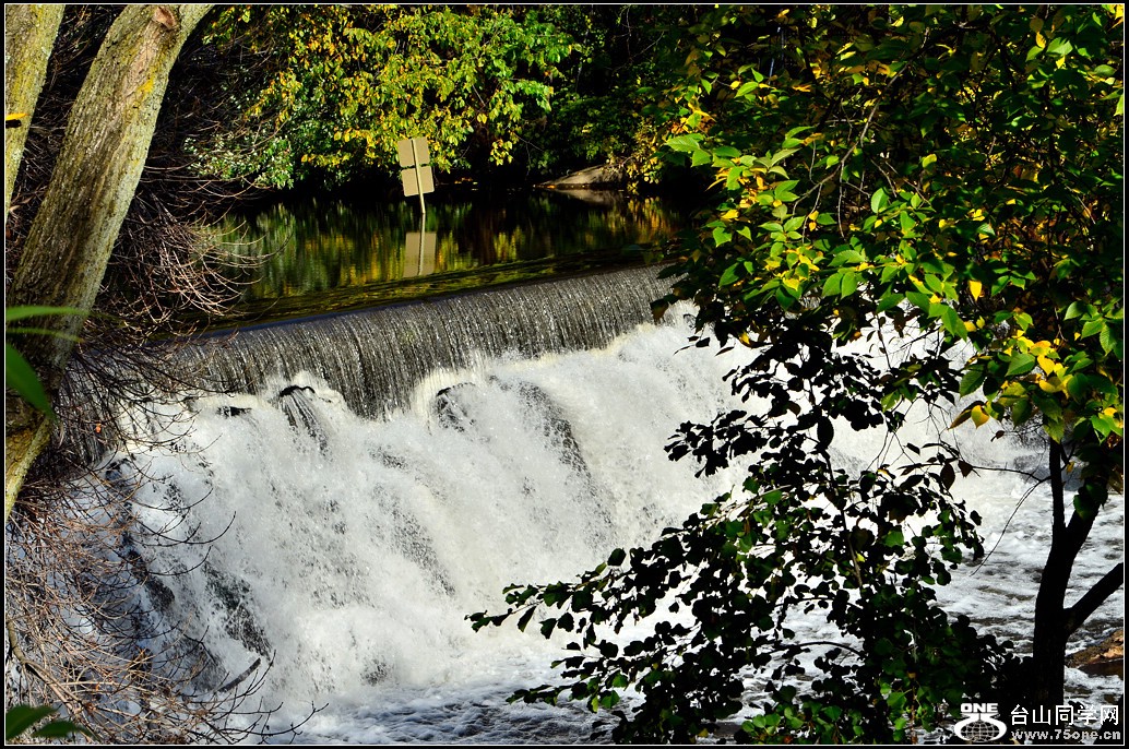DSC_7881.jpg