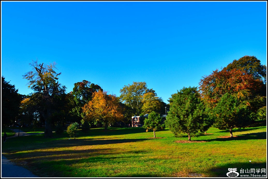 DSC_7974.jpg