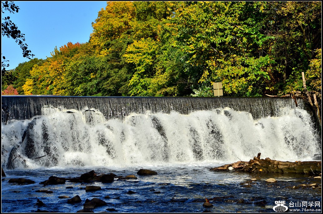 DSC_7886.jpg