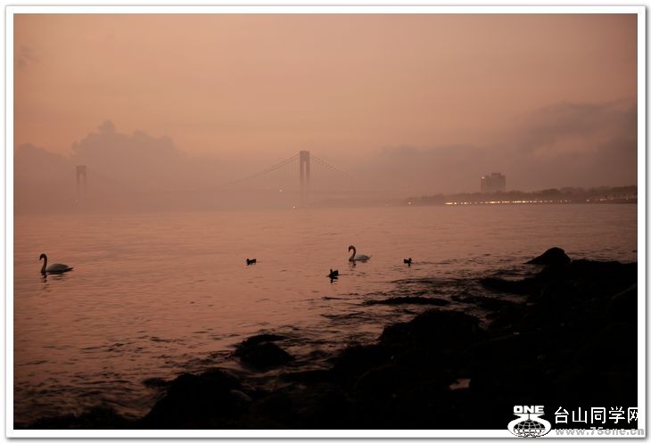 nEO_IMG_DSC_7334.jpg