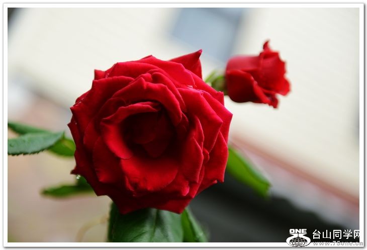 nEO_IMG_DSC_6942.jpg