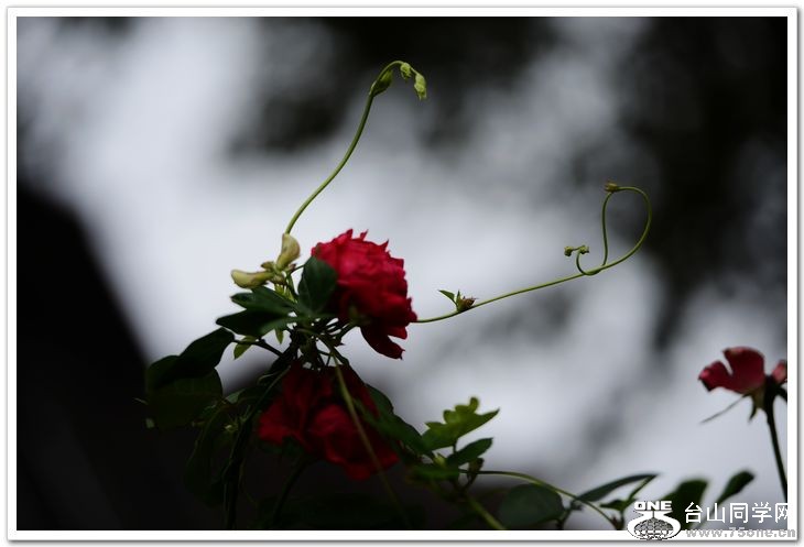nEO_IMG_DSC_7297.jpg