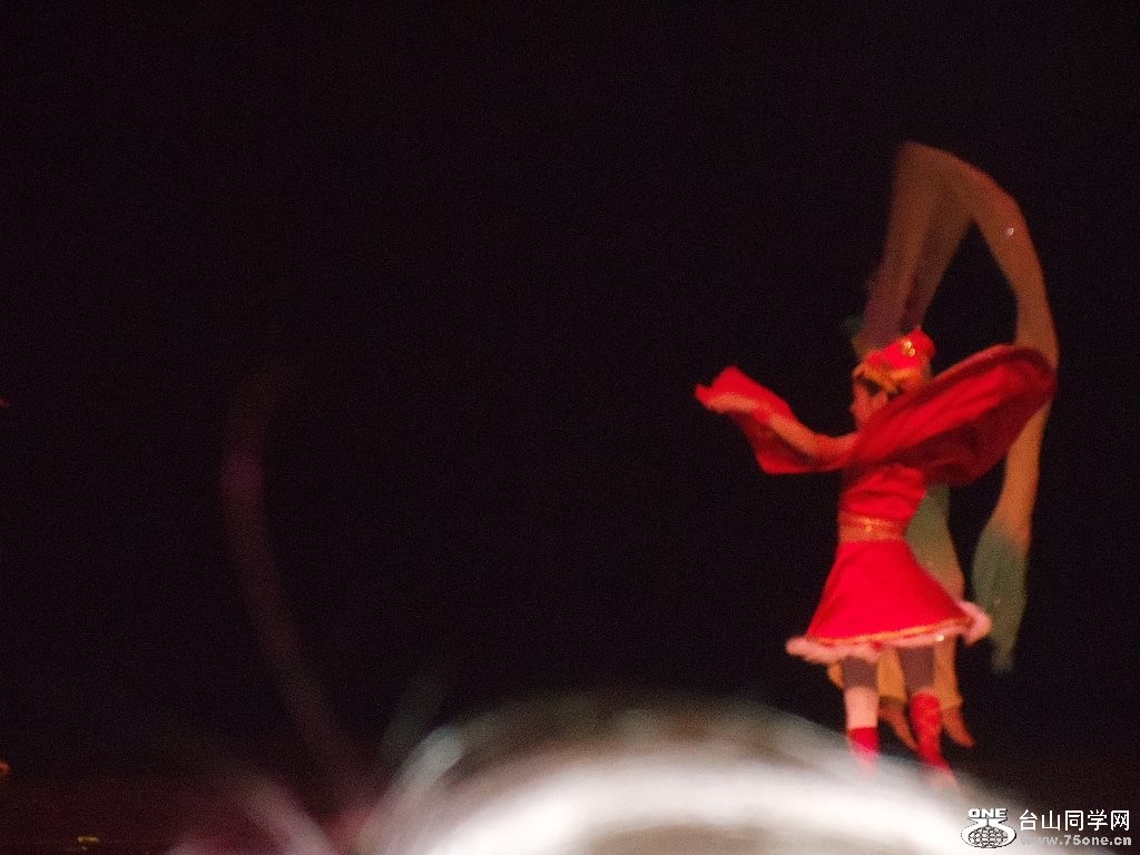 DSC02536.jpg