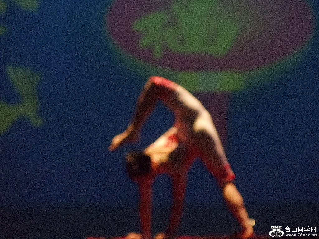 DSC02505.jpg