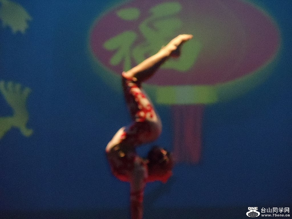 DSC02507.jpg