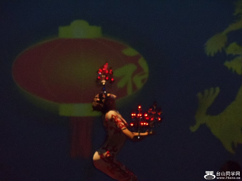 DSC02520.jpg