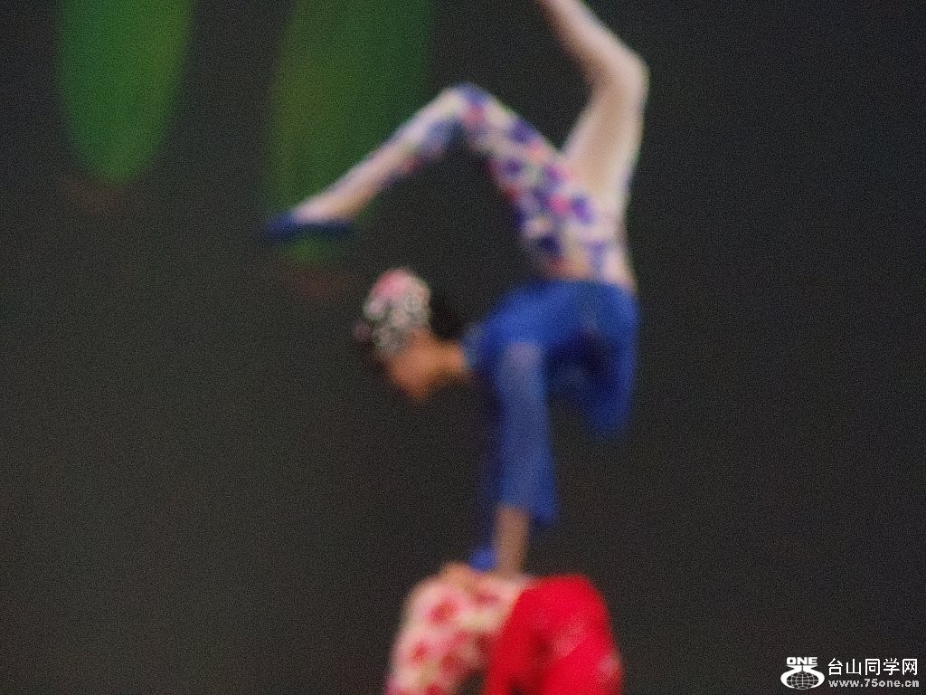 DSC02528.jpg
