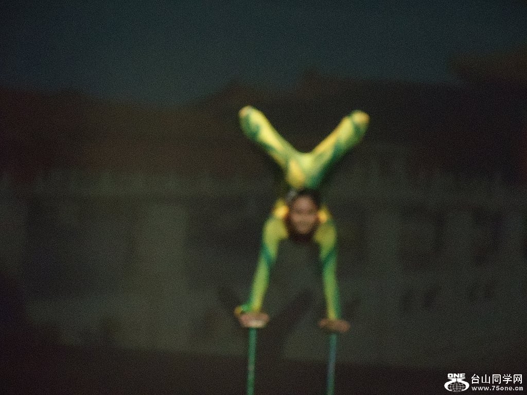 DSC02541.jpg