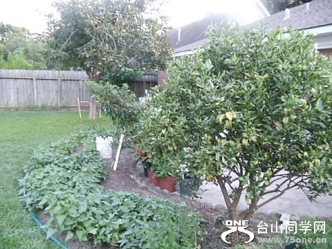 DSC02378.jpg