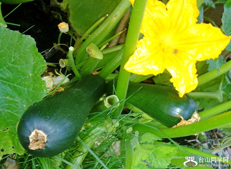 20120705797_conew1.jpg