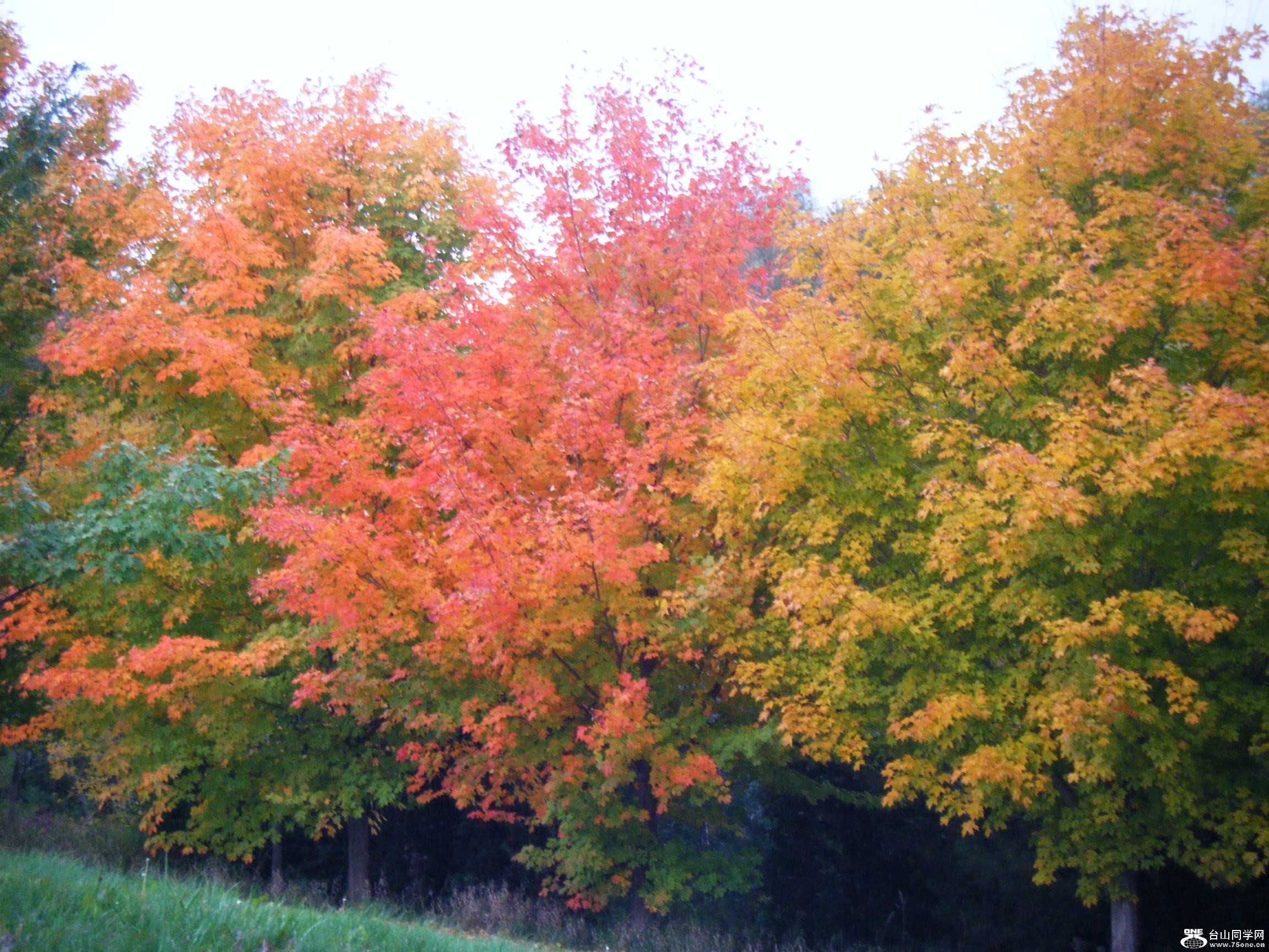 DSCF3810.JPG