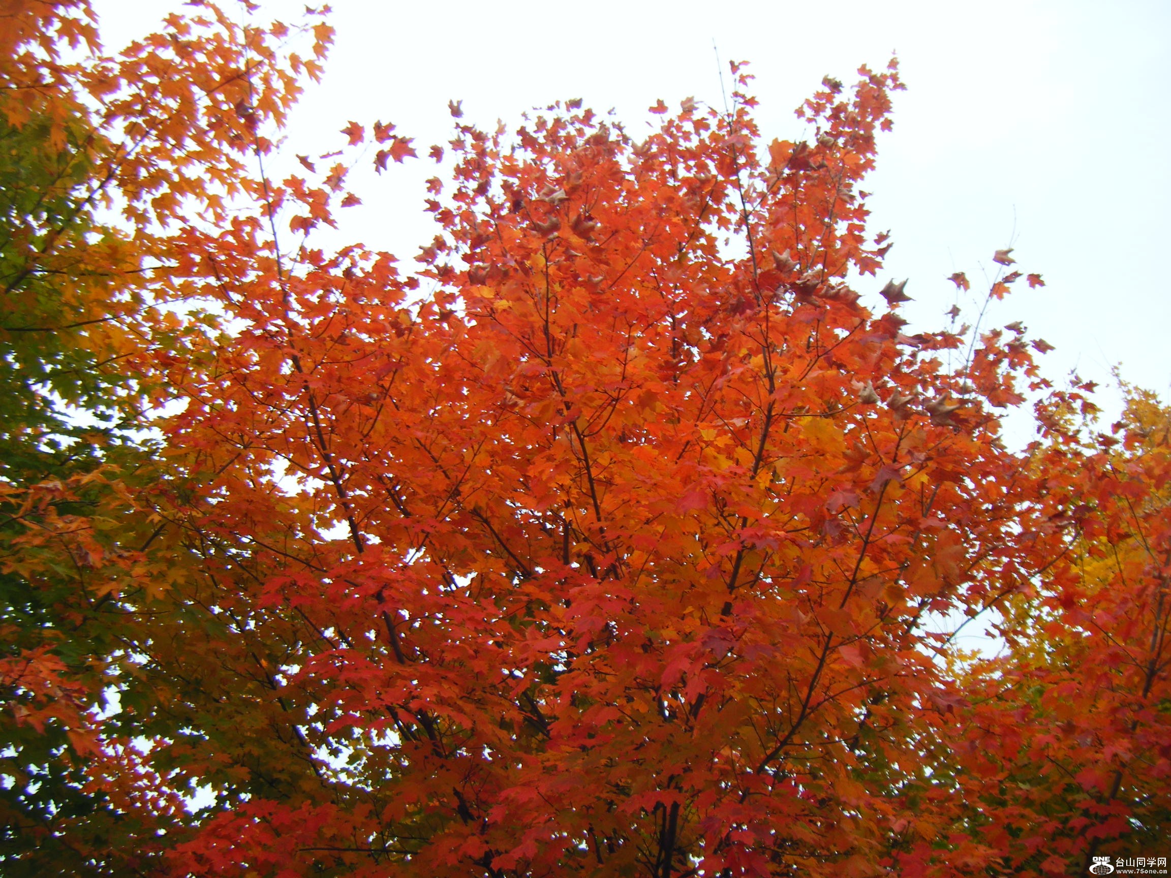DSCF3826.JPG