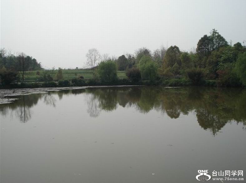 149.jpg