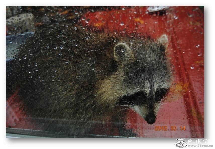 ���� 029.jpg