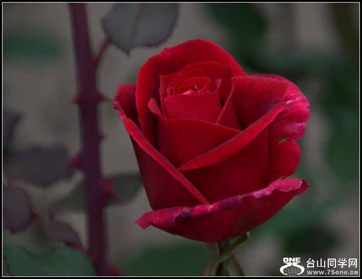 10.17.2012 Fall 237.jpg