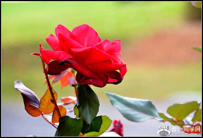 10.17.2012 Fall 169.jpg