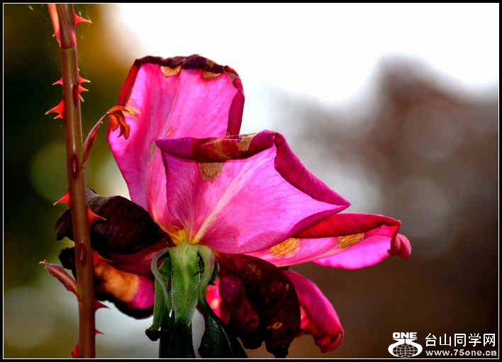 10.17.2012 Fall 300.jpg