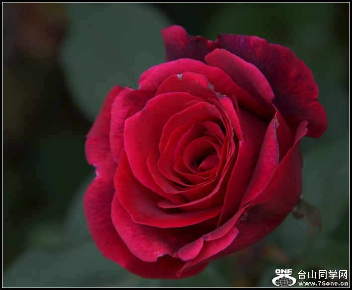 10.17.2012 Fall 245.jpg