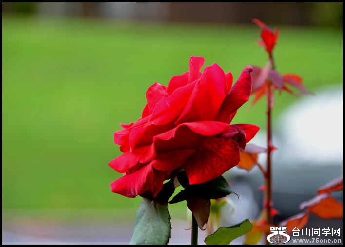 10.17.2012 Fall 170.jpg