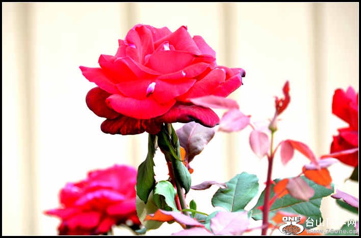 10.17.2012 Fall 174.jpg