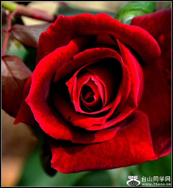 10.17.2012 Fall 296.jpg