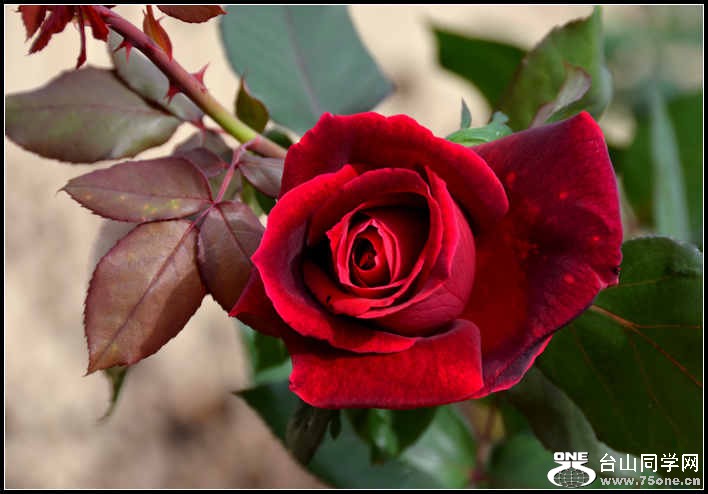 10.17.2012 Fall 288.jpg