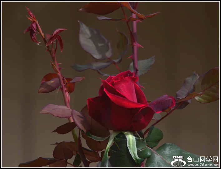 10.17.2012 Fall 281.jpg