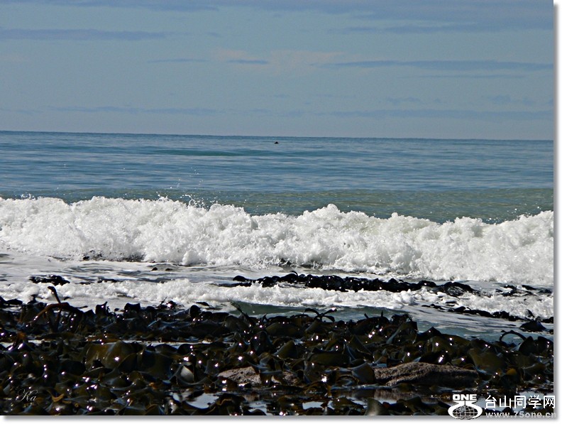 Sea18-10 -2012A 017.jpg