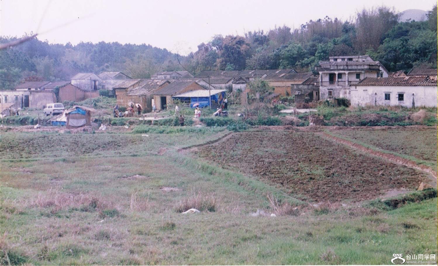 14.JPG