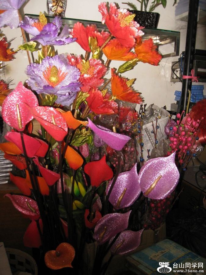IMG_0782.JPG