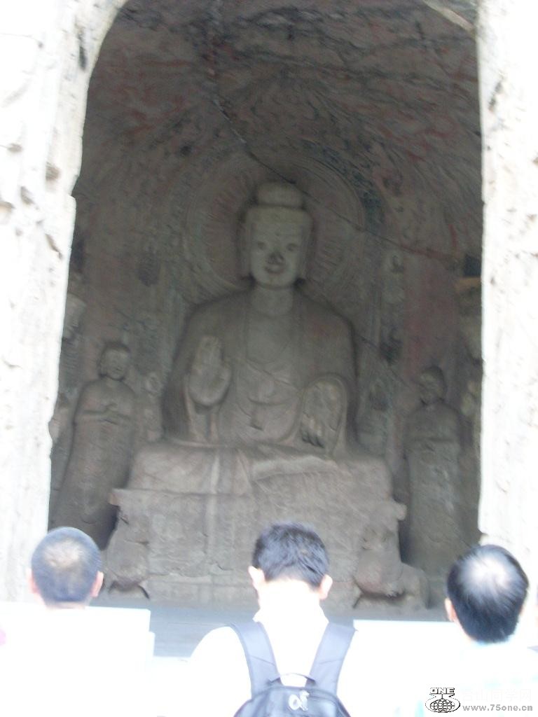 SL374075.JPG